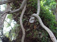 DSC08570