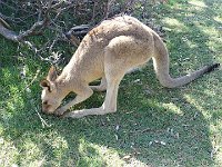 DSC08657