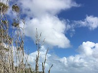 IMG 6950