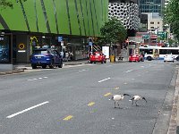 DSC08690