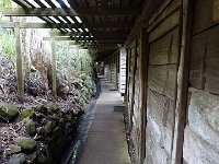 DSC08724