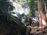 IMG 7226