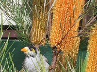 IMG 7232