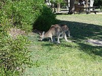 DSC08930