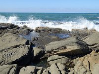 DSC08950