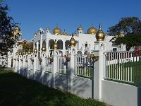 DSC08980