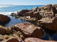 DSC09011