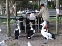 DSC09097