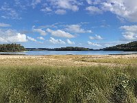 IMG 7439
