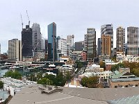 DSC09135