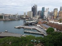 DSC09202