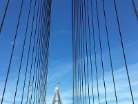 IMG 7474
