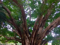 IMG E7483