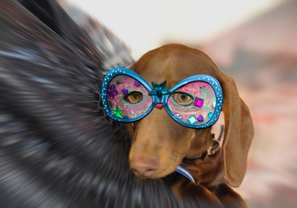 Berner Fasnacht