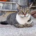 DSC08158